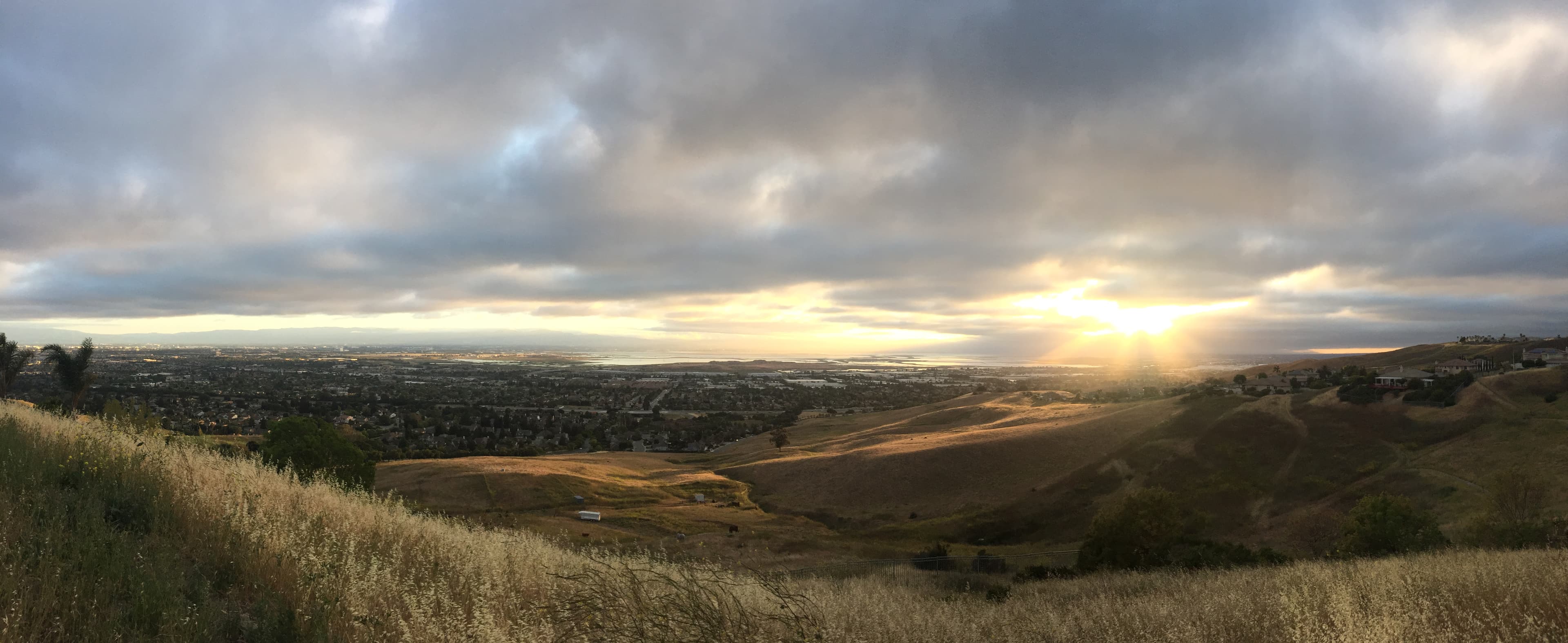 Ponderosa Heights view
